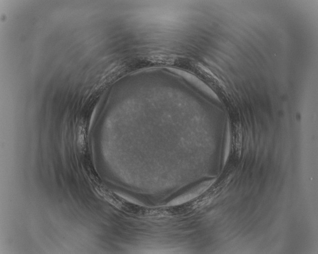 X0000088401154200706191350