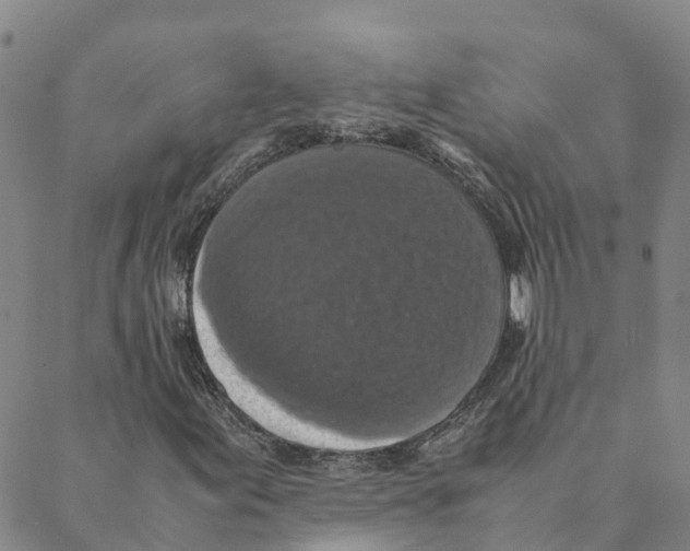 X0000088401155200706191350