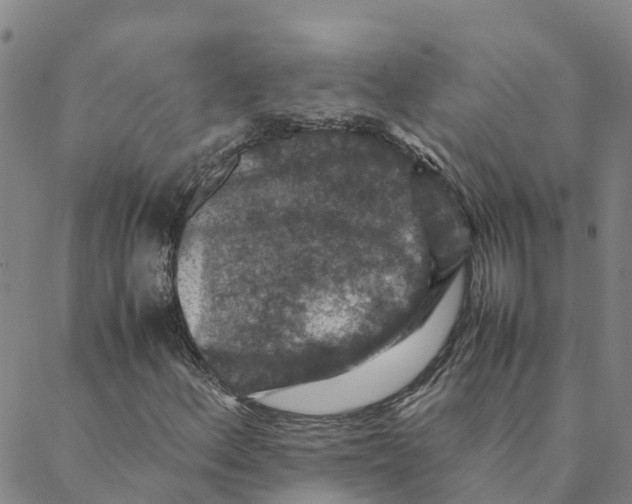 X0000088401156200706191350