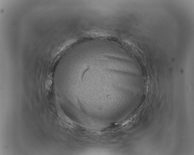 X0000088401157200706191350