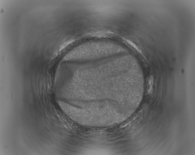 X0000088401158200706191350