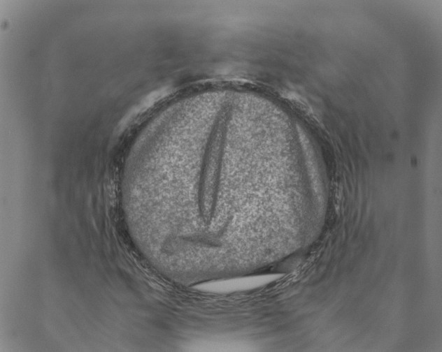 X0000088401159200706191350