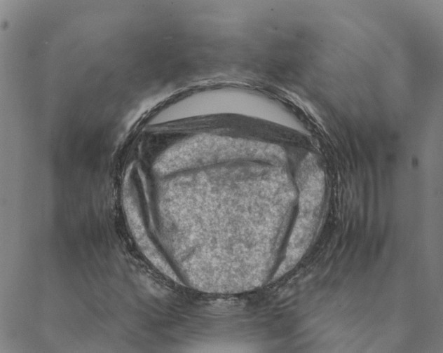 X0000088401160200706191350