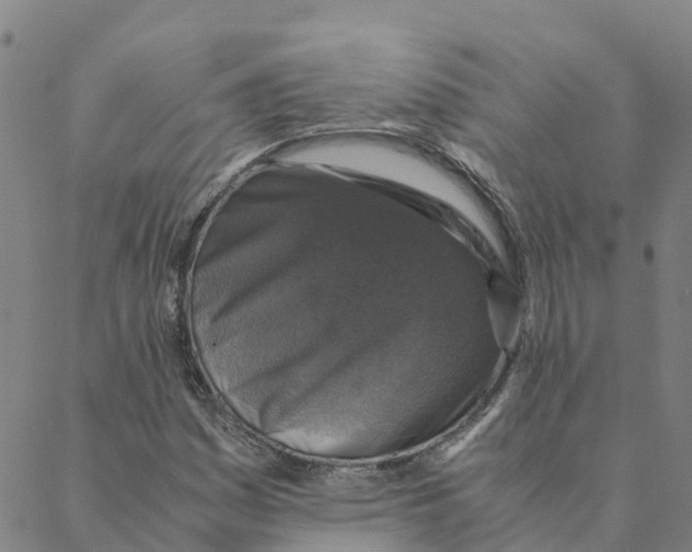 X0000088401161200706191350