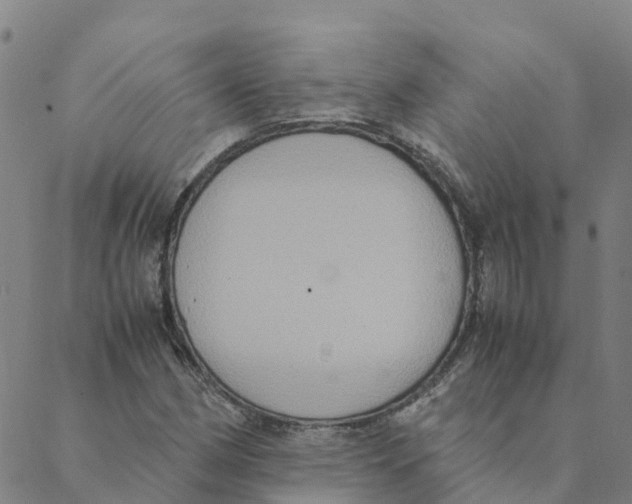 X0000088401162200706191350