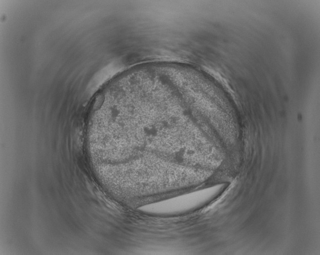 X0000088401163200706191350