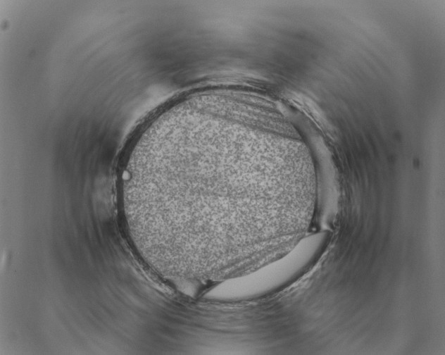 X0000088401164200706191350