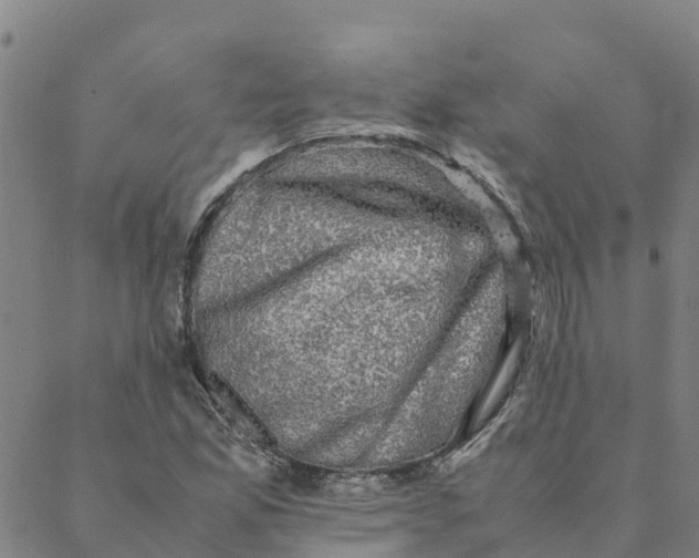 X0000088401165200706191350