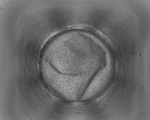 X0000088401166200706191350