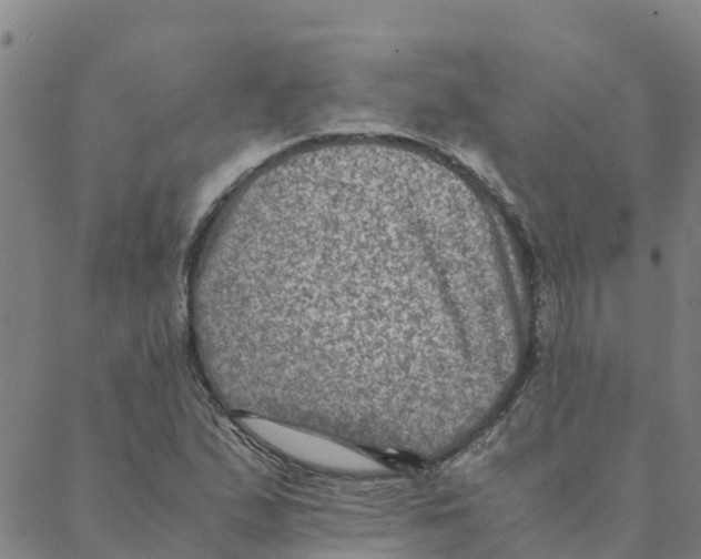 X0000088401167200706191350