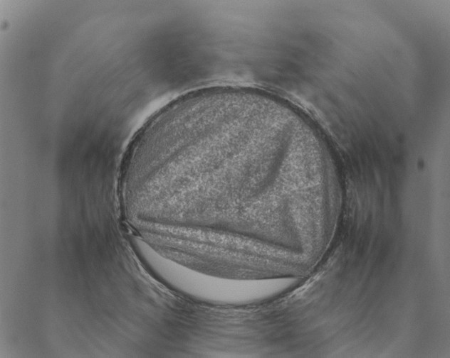 X0000088401168200706191350