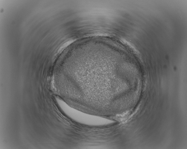 X0000088401169200706191350