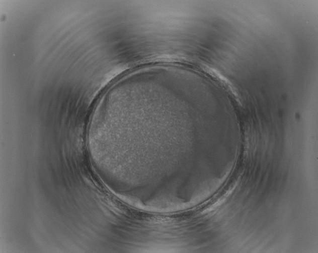 X0000088401170200706191350