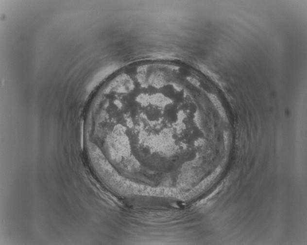 X0000088401171200706191350