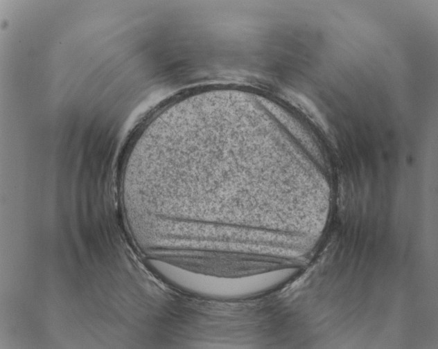 X0000088401172200706191350