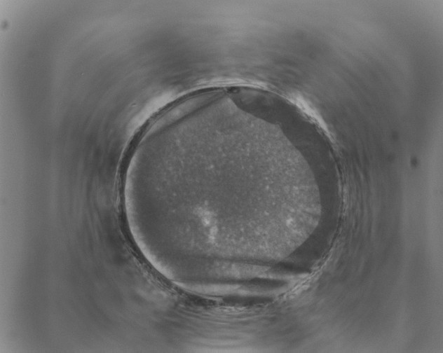 X0000088401173200706191350