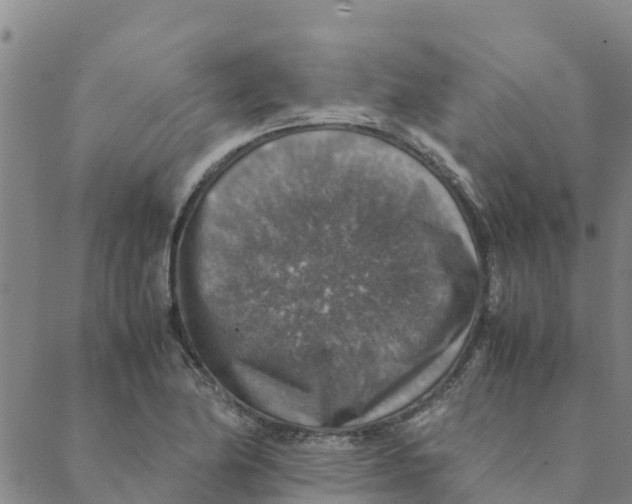 X0000088401174200706191350