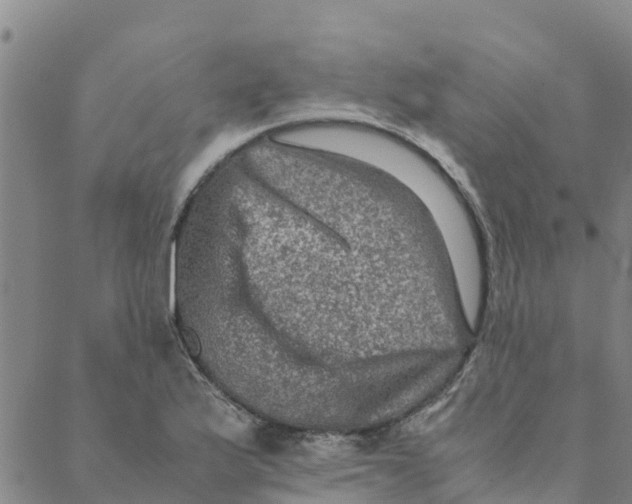 X0000088401175200706191350