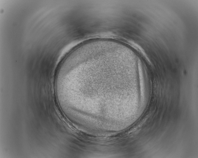 X0000088401176200706191350