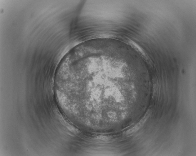 X0000088401178200706191350