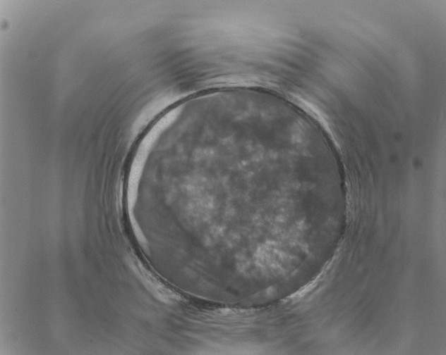 X0000088401179200706191350