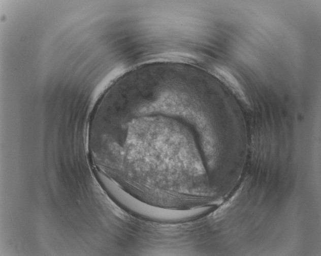 X0000088401180200706191350