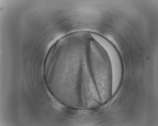 X0000088401181200706191350