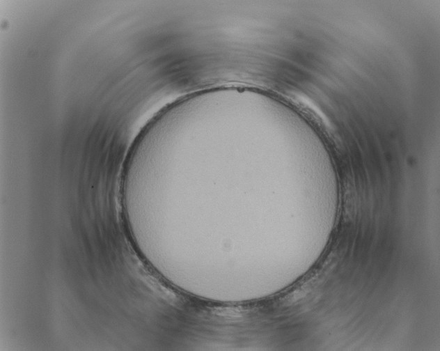 X0000088401182200706191350