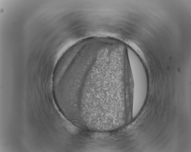 X0000088401183200706191350