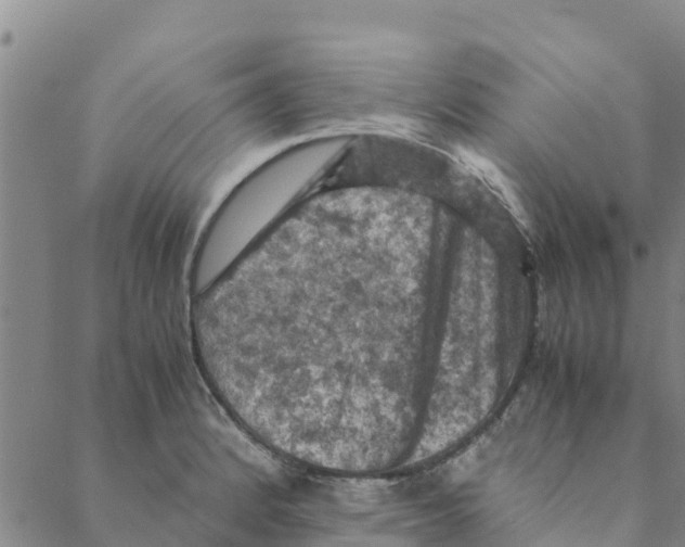 X0000088401184200706191350