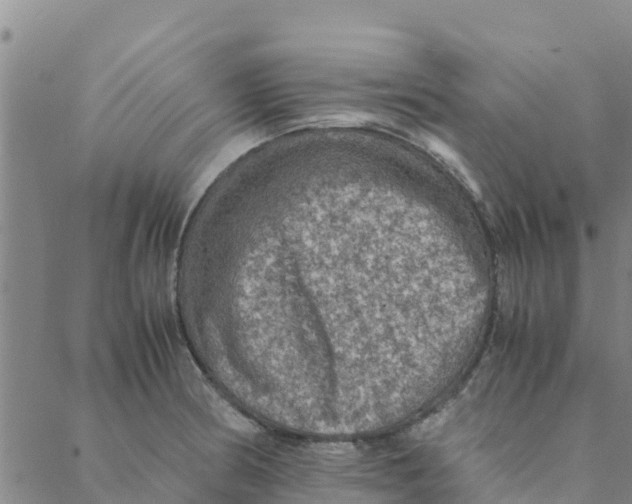 X0000088401186200706191350