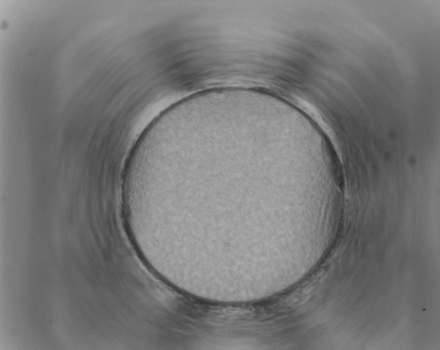 X0000088401187200706191350