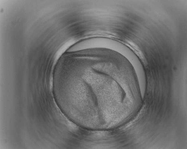 X0000088401188200706191350