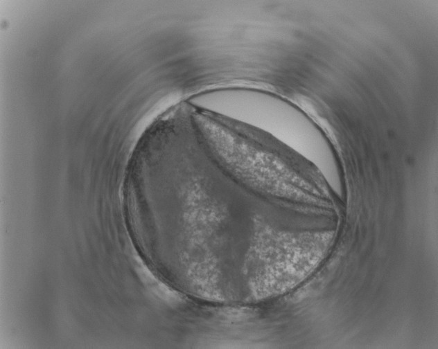 X0000088401189200706191350