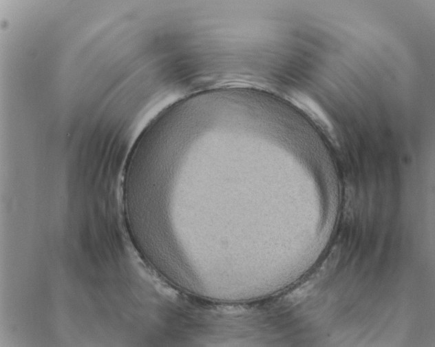 X0000088401190200706191350