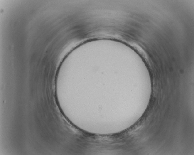 X0000088401191200706191350