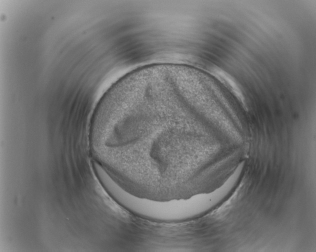 X0000088401192200706191350