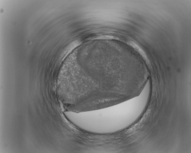 X0000088401193200706191350