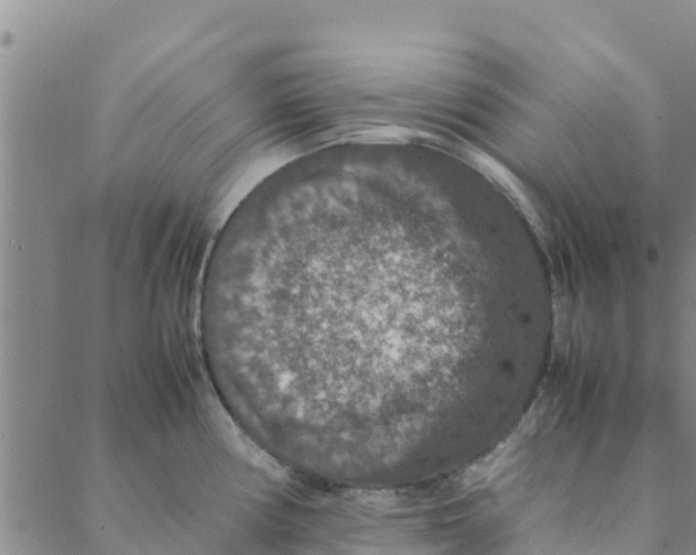 X0000088401194200706191350