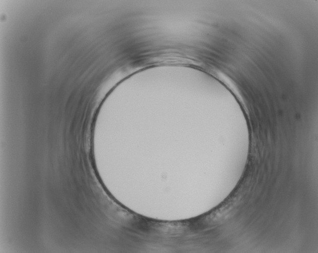 X0000088401195200706191350