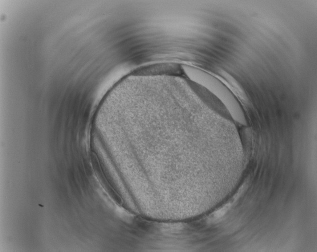 X0000088401196200706191350