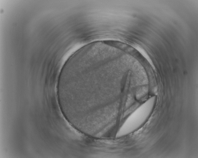 X0000088401197200706191350