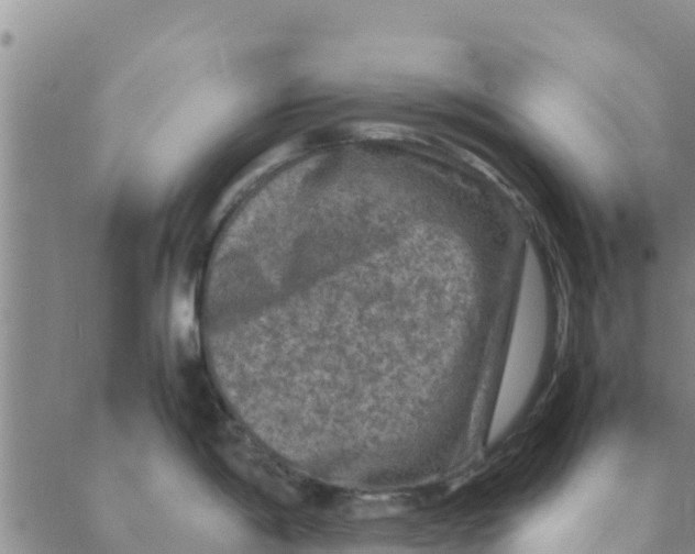 X0000088401198200706191350