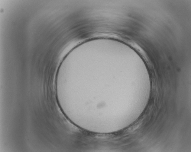 X0000088401199200706191350