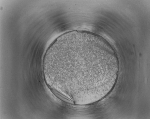 X0000088401200200706191350