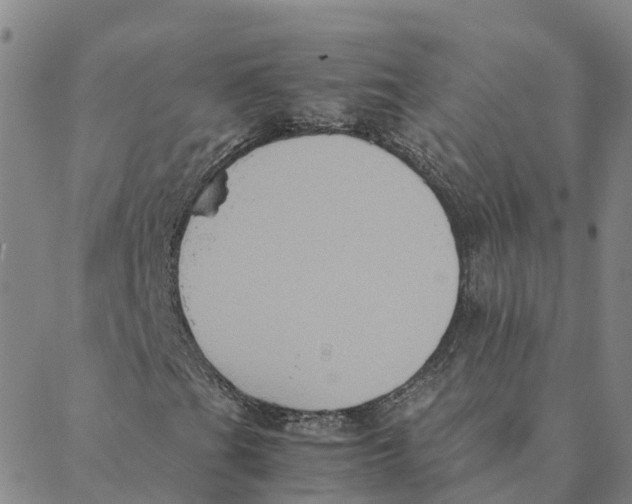 X0000088401201200706191349