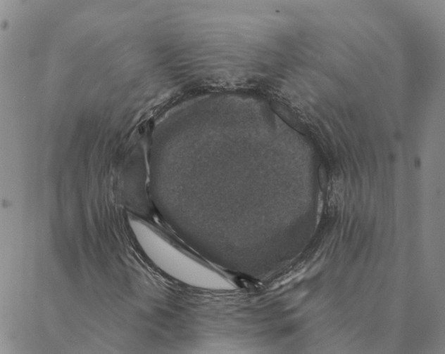 X0000088401202200706191349