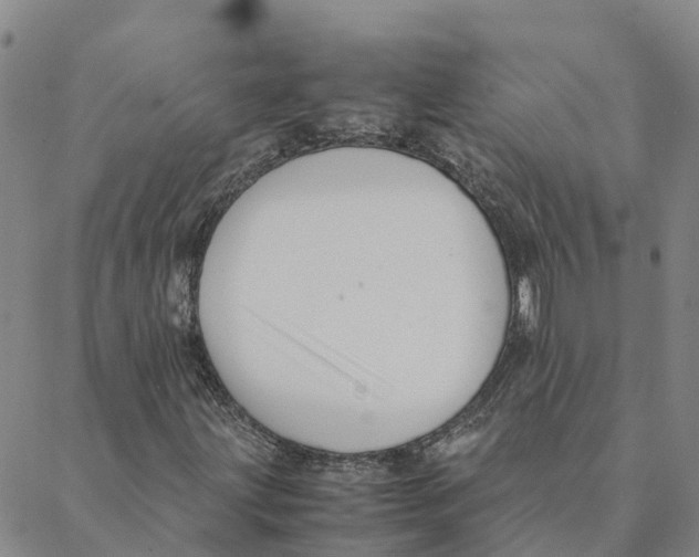 X0000088401203200706191349