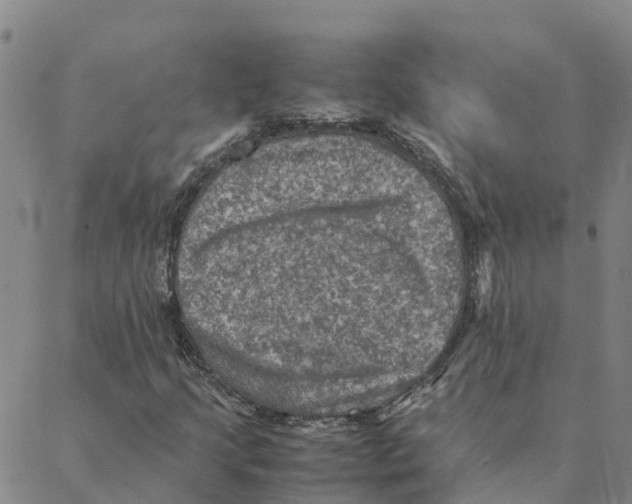 X0000088401205200706191349