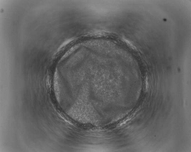 X0000088401206200706191349